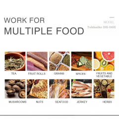 Дегідратор професійний Tekhniko DH-06H-SS нержавіюча сталь (6 лотків) Луцьк