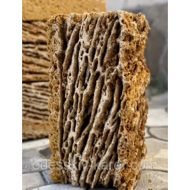 КАМЕНЬ РАКУШНЯК М35 КОРАЛЛ КИЕВ И КИЕВСКАЯ ОБЛАСТЬ 