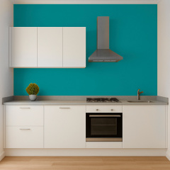 Краска силиконовая для влажных помещений Skyline 3050-B40G Мохрис 1 л (2589082061) Белгород-Днестровский