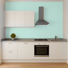 Краска силиконовая для влажных помещений Skyline 1015-B80G Бризель 1 л (2589082065) Белгород-Днестровский