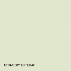 Краска фасадная силиконовая Skyline Силиконфасад 1010-G50Y Энтелар 5 л (2595724986) Каменец-Подольский