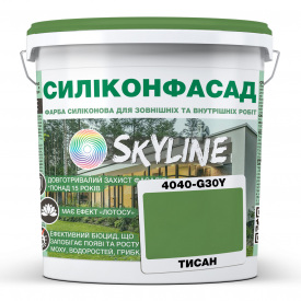 Краска фасадная силиконовая Skyline Силиконфасад 4040-G30Y (C) Тисан 1 л (2595725007)
