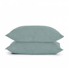 Євро постіль з простирадлом на гумці AGAVE CS8 COSAS Агава 200х220 см Братське