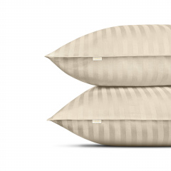 Двуспальная постель сатин с простыней на резинке BISCUIT CS1 Cosas Магнолия 180х220 см Братское