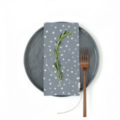 Набір серветок COSAS GREY STARSFALL Ранфорс 30х30 см 2 шт Сірий Дзензелівка