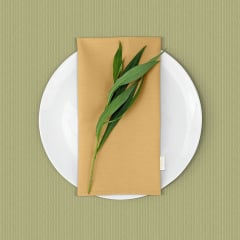 Скатертина на стіл водовідштовхувальна COSAS 120х150 OLIVE Первомайськ