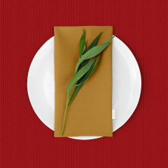 Скатертина на стіл водовідштовхувальна COSAS 140х200 CHILLI Київ