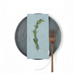 Набор салфеток COSAS SKYEY Ранфорс 35х35 см 2 шт. Геническ