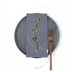 Набір серветок COSAS STORMY Ранфорс 30х30 см 4 шт Синій Охтирка