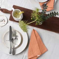 Набір серветок COSAS AMBER Ранфорс 30х30 см 4 шт Терракот Єланець