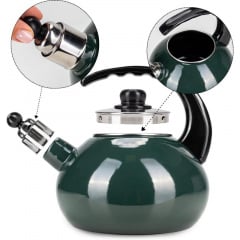 Чайник для плити Boiling Water 2,5л green Kamille DP262130 Коломия