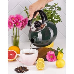 Чайник для плити Boiling Water 2,5л green Kamille DP262130 Коломия