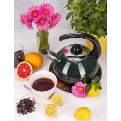 Чайник для плити Boiling Water 2,5л green Kamille DP262130 Коломия