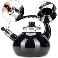 Чайник для плиты Boiling Water 2,5л black Kamille DP262127 Бородянка