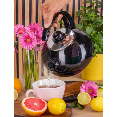 Чайник для плиты Boiling Water 2,5л black Kamille DP262127 Бородянка