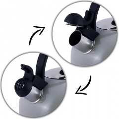 Чайник для плиты Young Leaf из нержавеющей стали 2,5л grey Kamille DP262107 Каменское