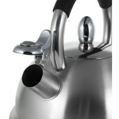 Чайник для плиты Kamille 2,7 л Серебристый DP262139 Киев