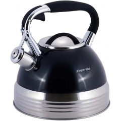 Чайник для плиты из нержавеющей стали 2,7л blue Kamille DP262111 Смела