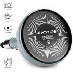 Чайник для плиты Boiling Water 2,5л olive Kamille DP262131 Дзензелевка