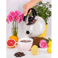Чайник для плиты Boiling Water 2,5л beige Kamille DP262128 Вараш