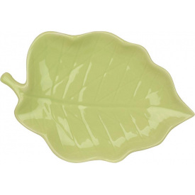 Набор фигурных тарелок BonaDi Green Sheet 25х17 см Салатовый 6 шт DP230999