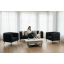 Диван офісний Tobi Sho Бенно-1 з підлокітниками для офісу, вітальні 1500х720х750 велюр вельвет Lotus 100/BLACK Київ