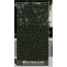 Гранітна плитка Маславська полірована зелена