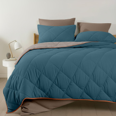 Покривало стьобане двостороннє COSAS TAUPE STONE CS2 200x220 см Бежево-блакитний Шепетівка