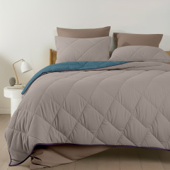 Покривало стьобане двостороннє COSAS TAUPE STONE CS5 200x220 см Бежево-блакитний Київ