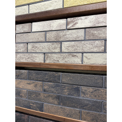 Кирпич облицовочный пустотелый ECOBRICK колор микс гладкий Киев