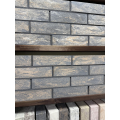 Цегла облицювальна пустотіла ECOBRICK колор мікс Куп'янськ