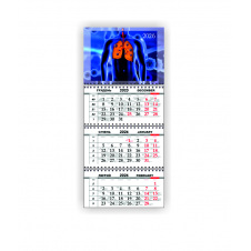 Календарь квартальный настенный Vivay 2026 Медицинский 30x65 см Разноцветный (hub_6yyuxy)