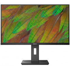 Монитор 31.5" Philips 32B1N3800/00 Black (7050507) Ахтырка