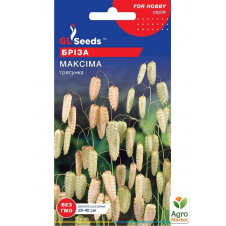 Бриза Максима ТМ GL Seeds 0.25г