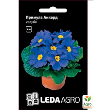 Примула Аккорд голубая ТМ Leda Agro 10шт
