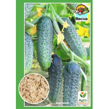 Огурец Кустовой ТМ Весна 0.5г