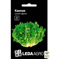 Салат фризе Канкан ТМ Leda Agro 30шт