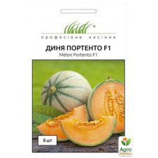 Диня Портенто ТМ Професійне насіння 8шт
