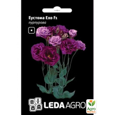 Эустома Эхо F1, пурпурная ТМ Leda Agro 5шт