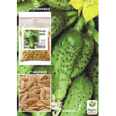 Огурец Кустовой ТМ Весна 100г