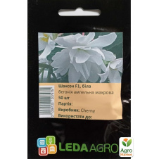 Бегония Шансон F1 белая ТМ Leda Agro 50шт