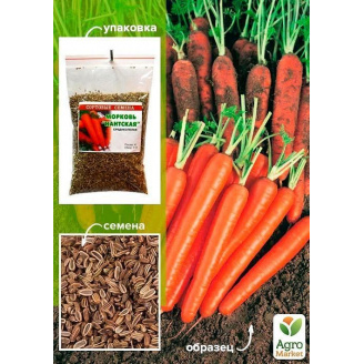 Морковь Нантская ТМ Весна 100г