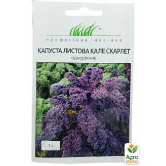 Капуста листова Скарлет ТМ Професійне насіння 1г