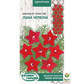 Квамоклит Кипарисная лиана красная ТМ Семена Украины 0.25г