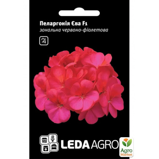 Пеларгония Ева F1 ТМ Leda Agro 5шт