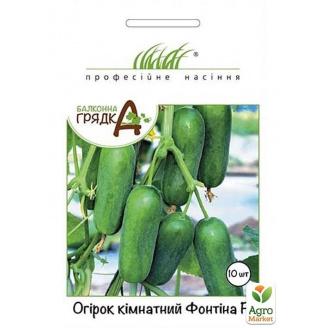 Огурец комнатный Фонтина ТМ Профессиональные семена 10шт