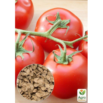 На развес Томат Красная шапочка ТМ Весна цена за 1г