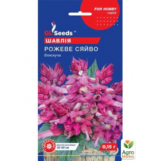 Сальвія Рожеве сяйво ТМ GL SEEDS 0.15г