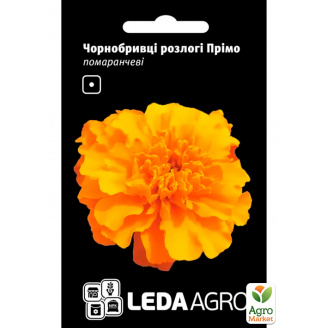 Бархатцы раскидистые Примо оранжевые ТМ Leda Agro 0,2г