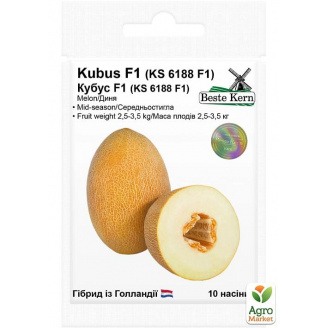 Дыня Кубус F1 ТМ Beste Kern 10шт